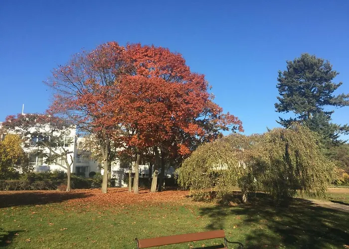 Przy Plazy Orlowo Gdynia